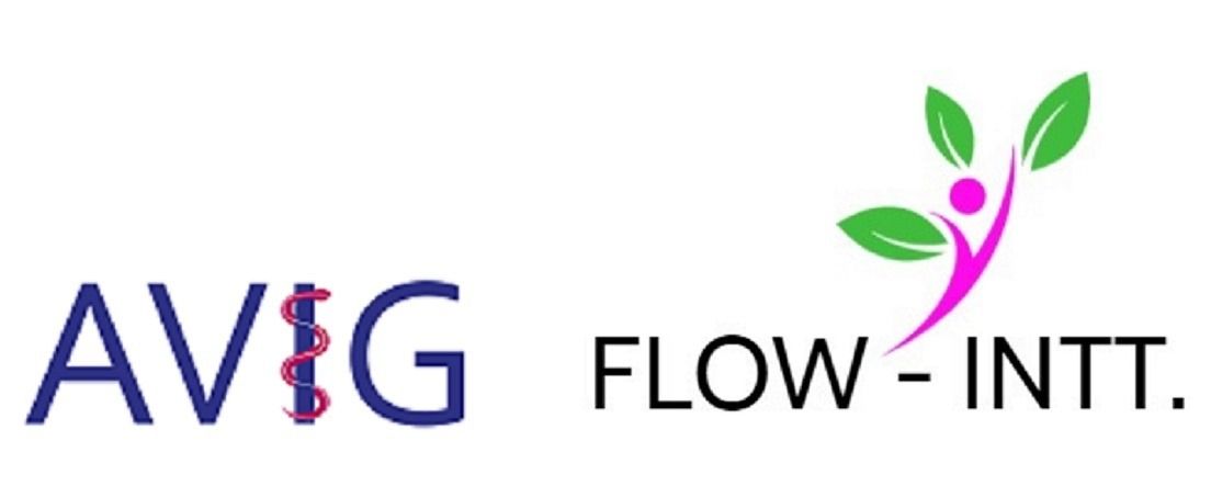Logo FLOW INTT.